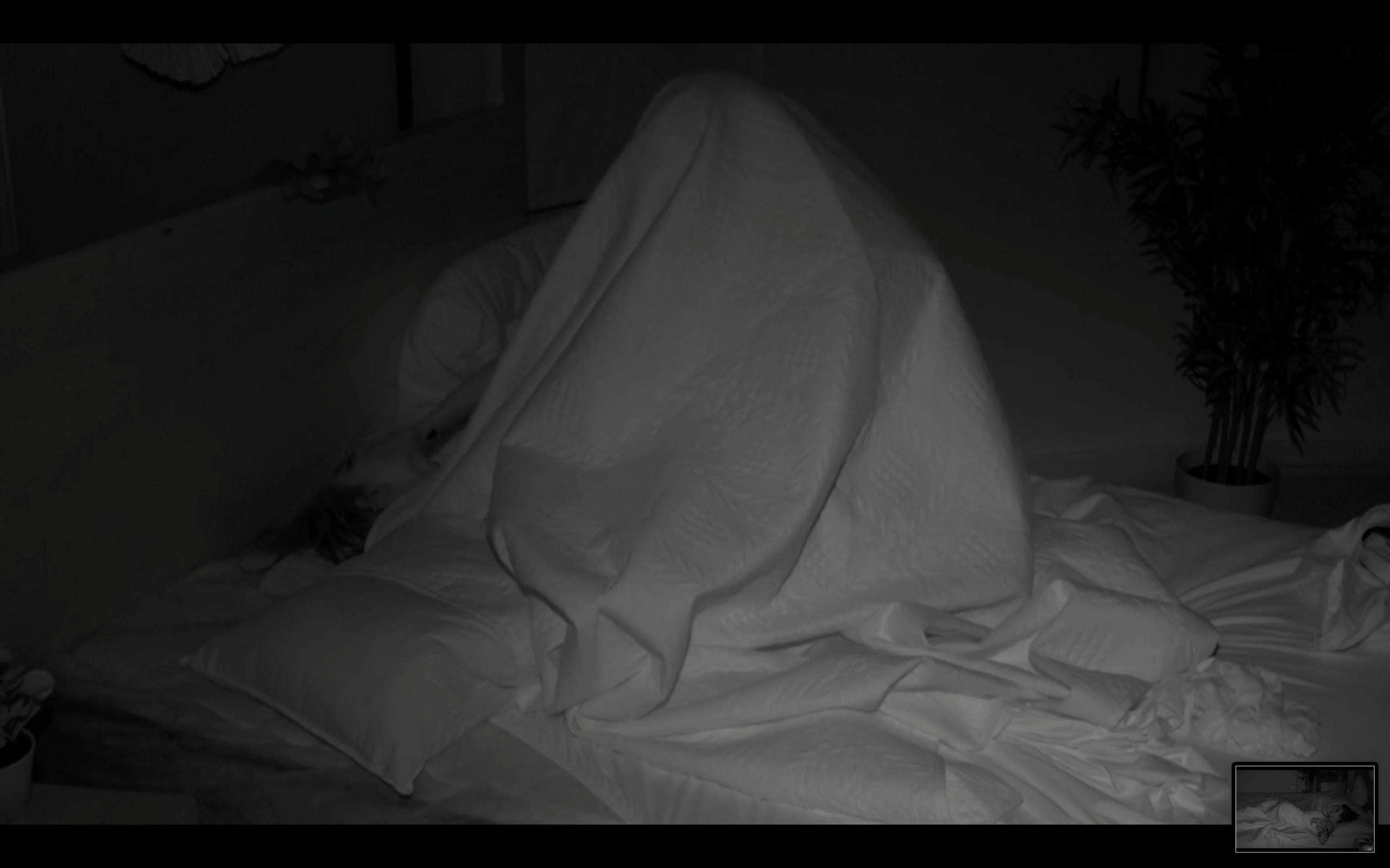 La Isla de las Tentaciones